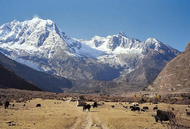 Image result for Manaslu Trek