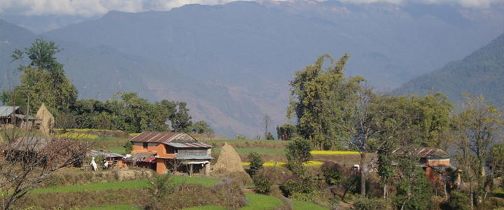 balthali-village